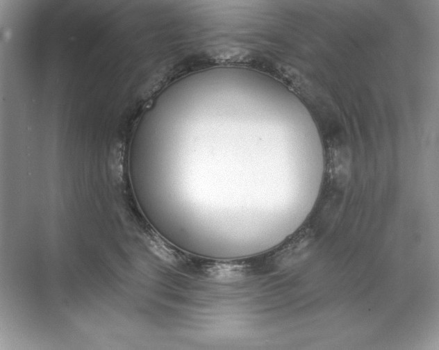 X0000071940664200607212202