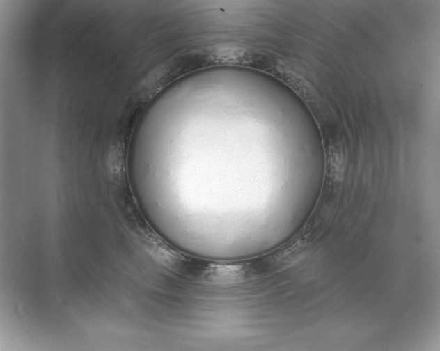 X0000071940665200607212202