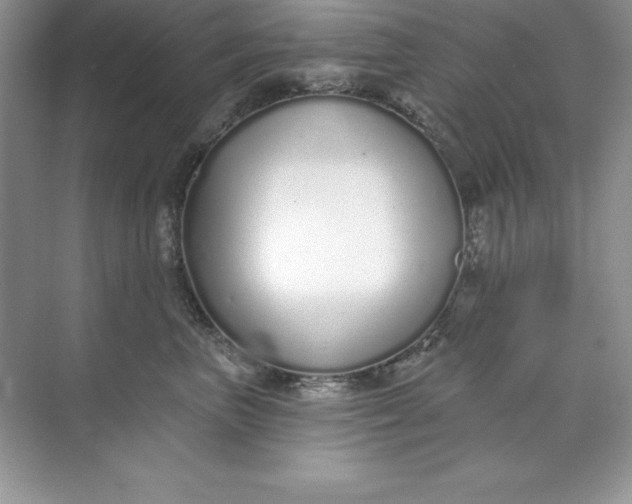 X0000071940667200607212202