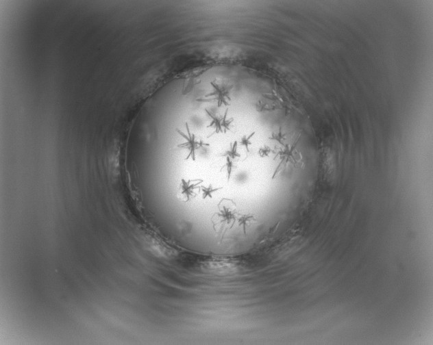 X0000071940668200607212202