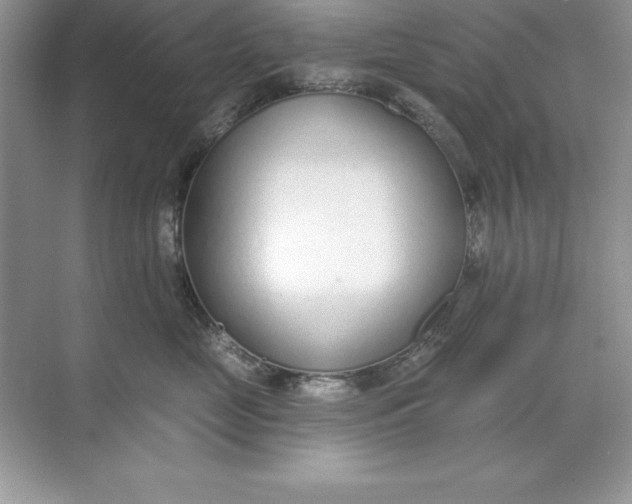 X0000071940669200607212202