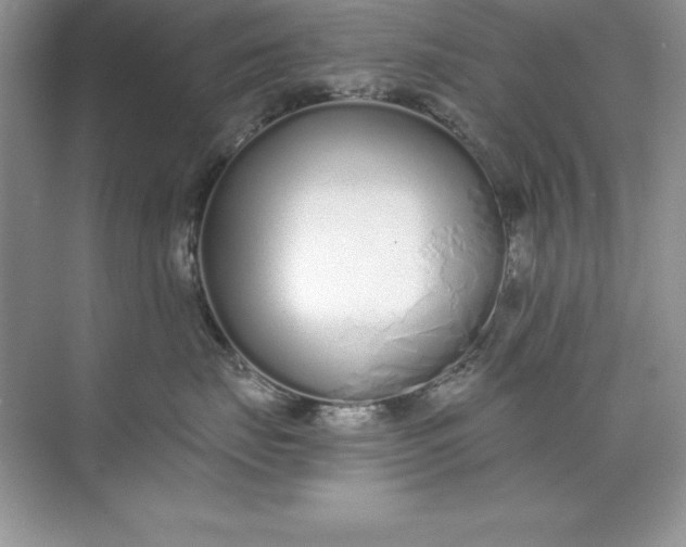 X0000071940671200607212202