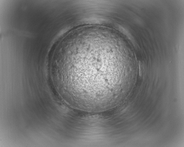 X0000071940675200607212201