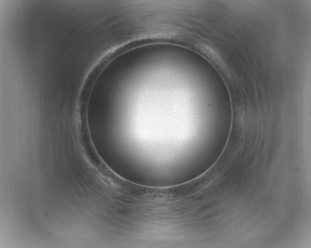X0000071940676200607212201