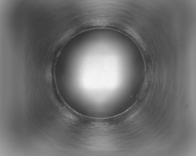 X0000071940681200607212201