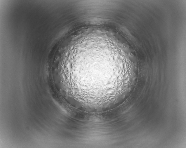X0000071940683200607212201