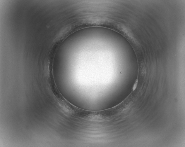 X0000071940685200607212201