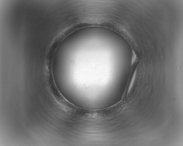 X0000071940688200607212201