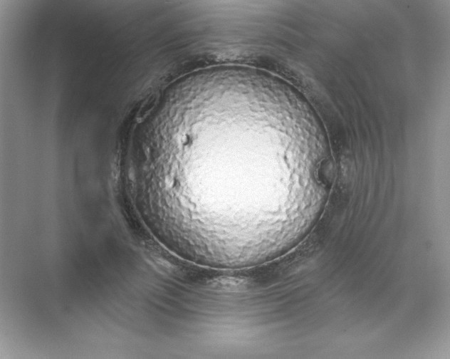 X0000071940691200607212201
