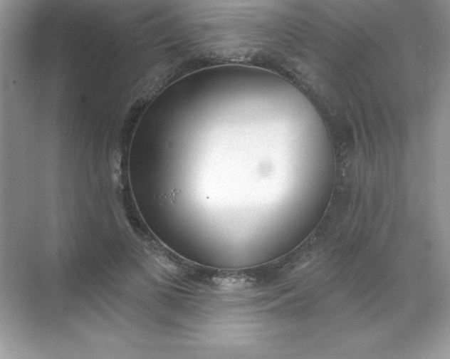 X0000071940693200607212201