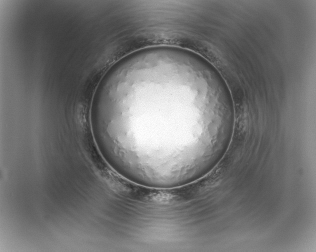 X0000071940695200607212201