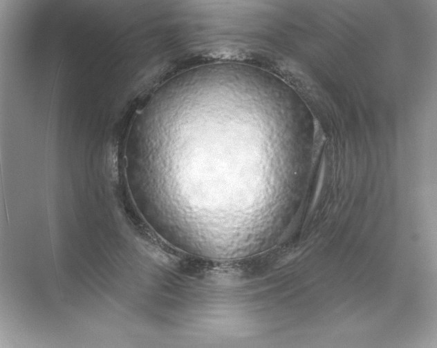 X0000071940696200607212201