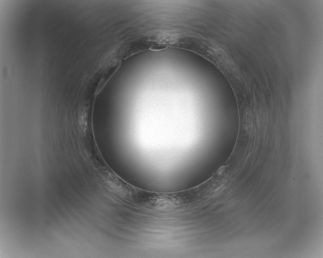 X0000071940697200607212201