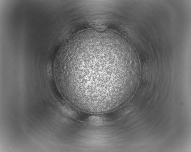 X0000071940699200607212201