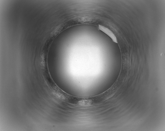 X0000071940700200607212201