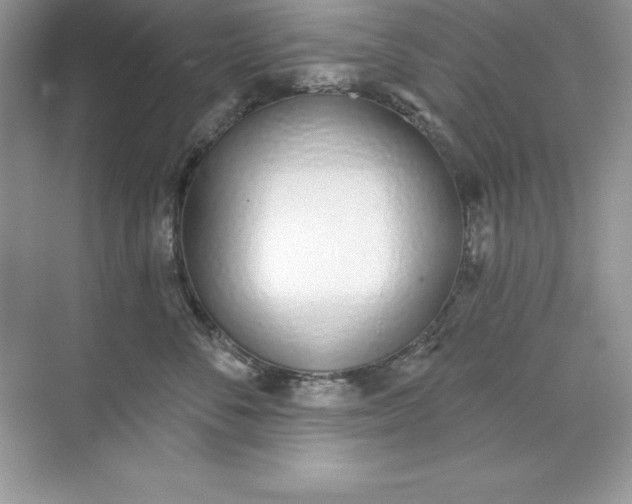 X0000071940716200607212200