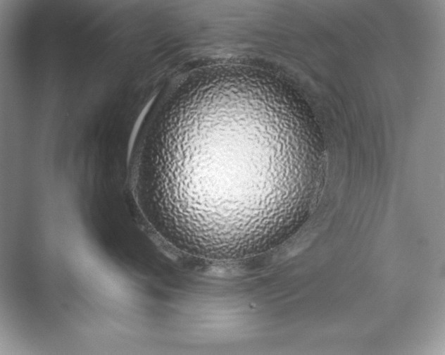 X0000071940720200607212200