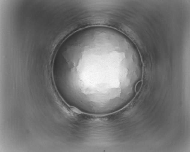 X0000071940721200607212159
