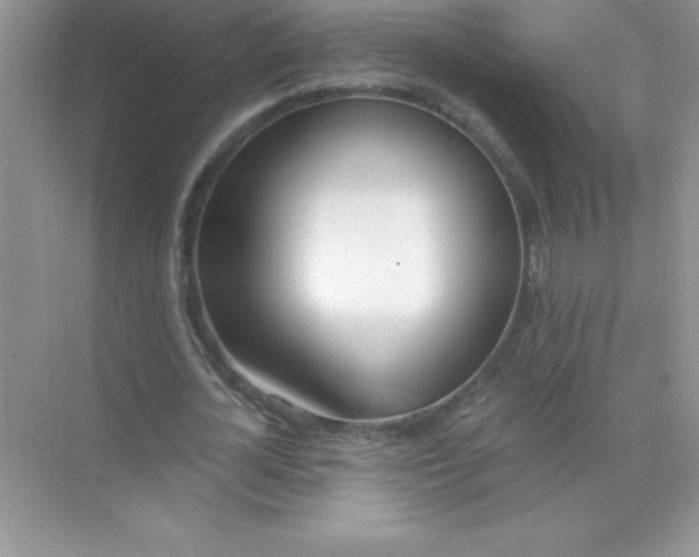 X0000071940724200607212200