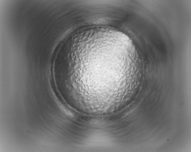 X0000071940725200607212200