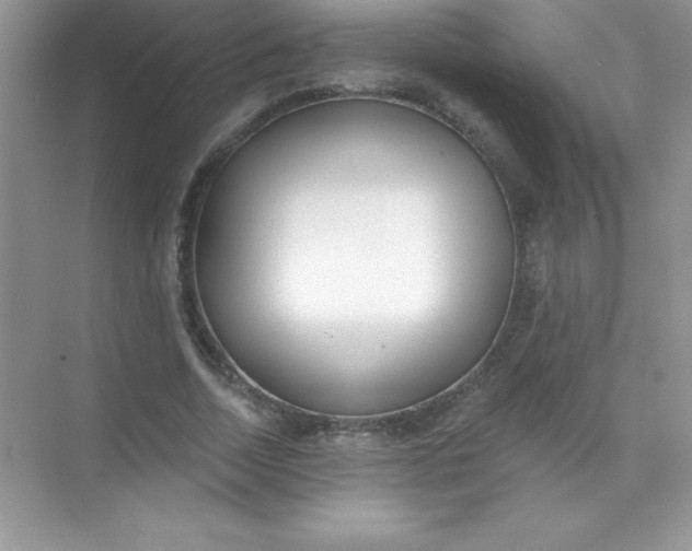 X0000071940730200607212200