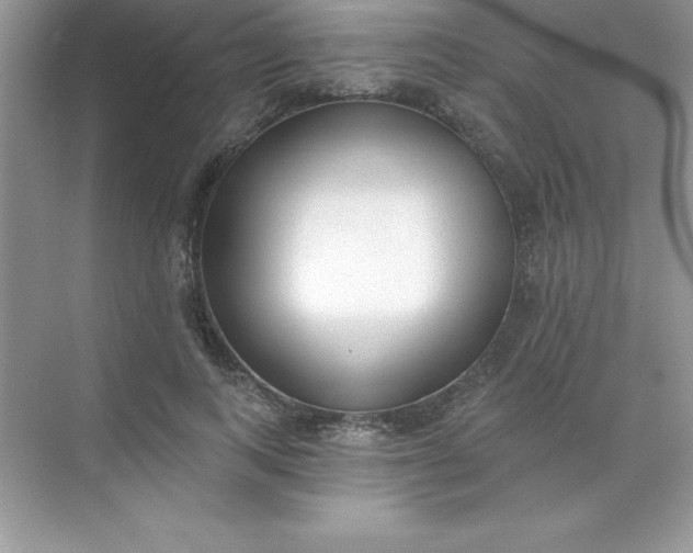 X0000071940743200607212200