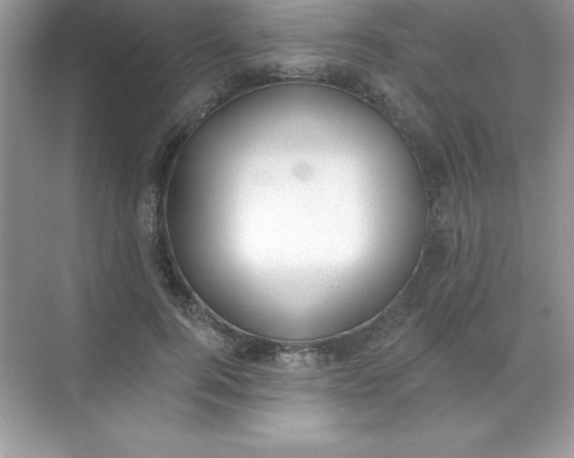 X0000071940744200607212200