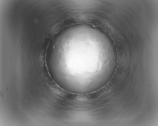 X0000071940749200607212200