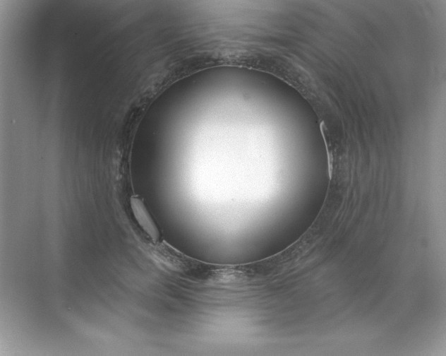 X0000071940750200607212200