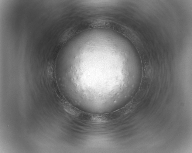 X0000071940753200607212200