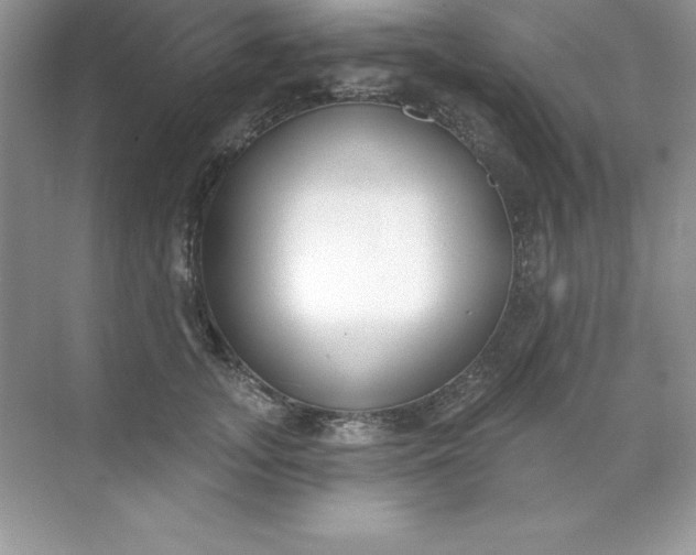 X0000071940755200607212200