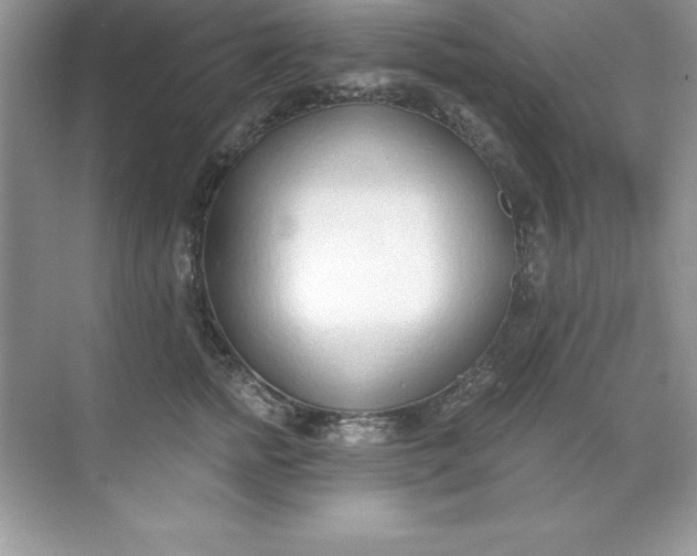 X0000071940758200607212200
