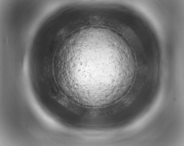 X0000071940765200607212200