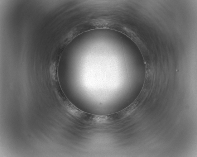 X0000071940767200607212200