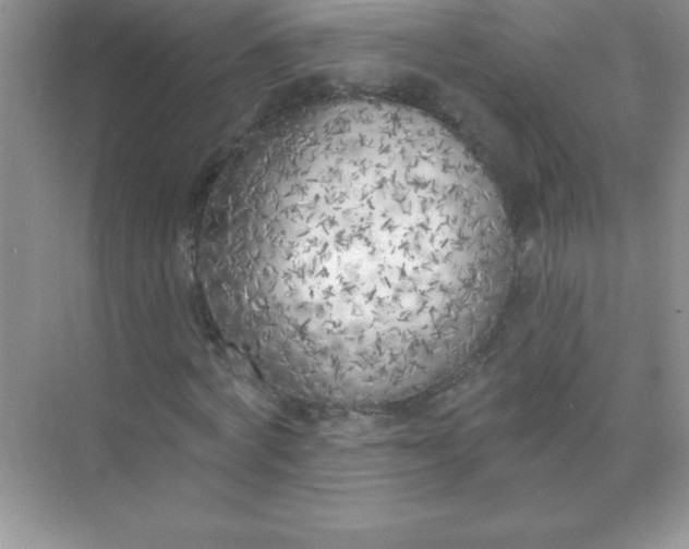 X0000071940772200607212159