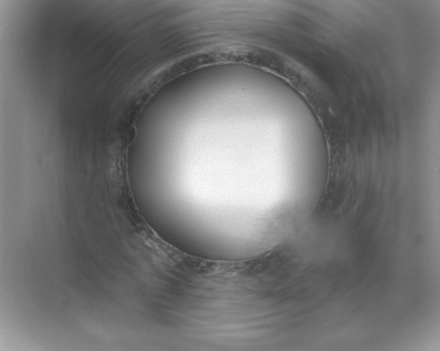 X0000071940773200607212159