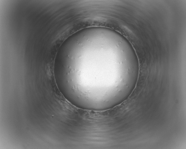 X0000071940774200607212159
