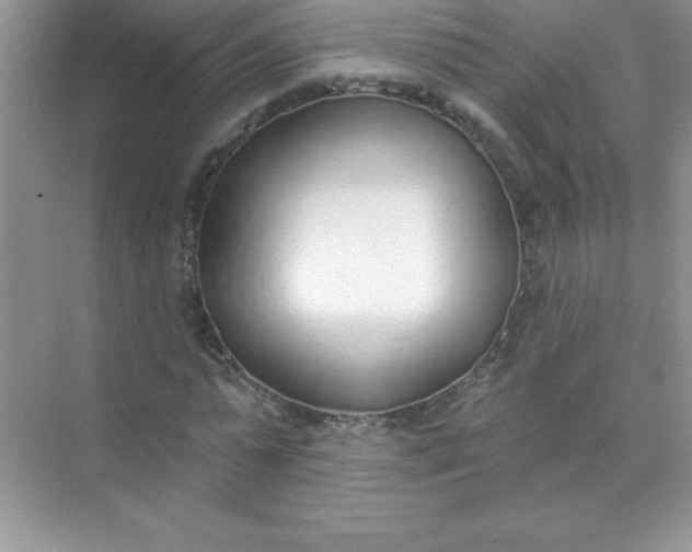 X0000071940775200607212159