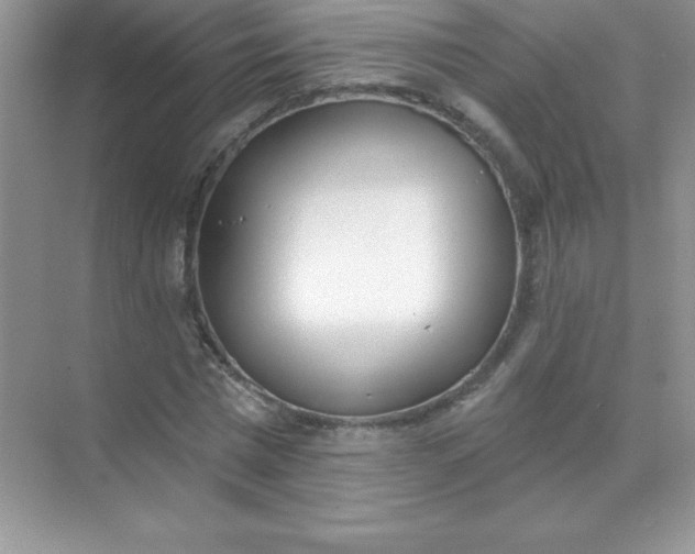 X0000071940777200607212159