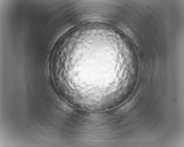 X0000071940782200607212159