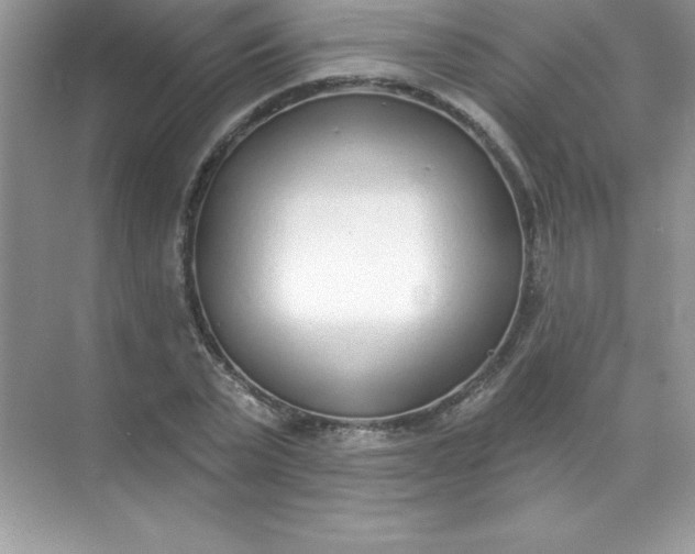 X0000071940783200607212159