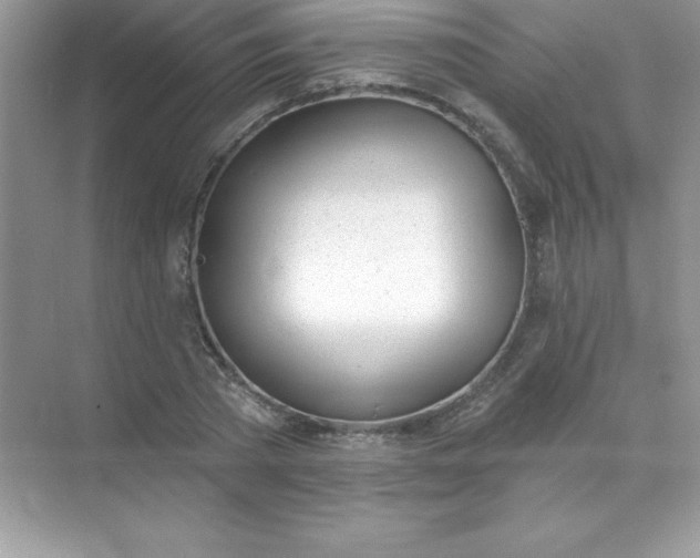 X0000071940785200607212159