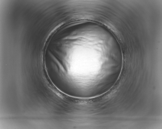 X0000071940790200607212159