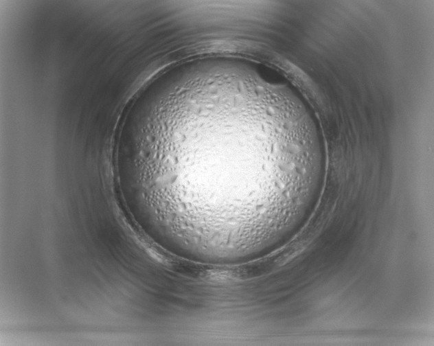 X0000071940794200607212159