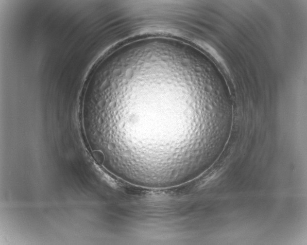 X0000071940799200607212159