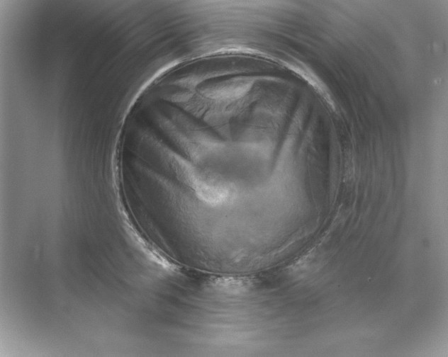 X0000071940806200607212159