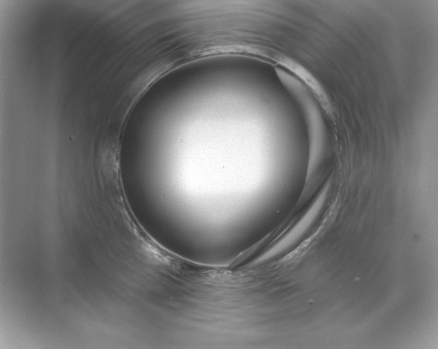 X0000071940809200607212159