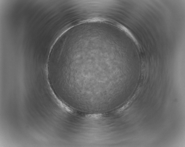 X0000071940810200607212159