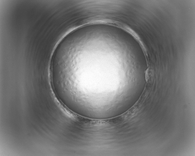 X0000071940811200607212159