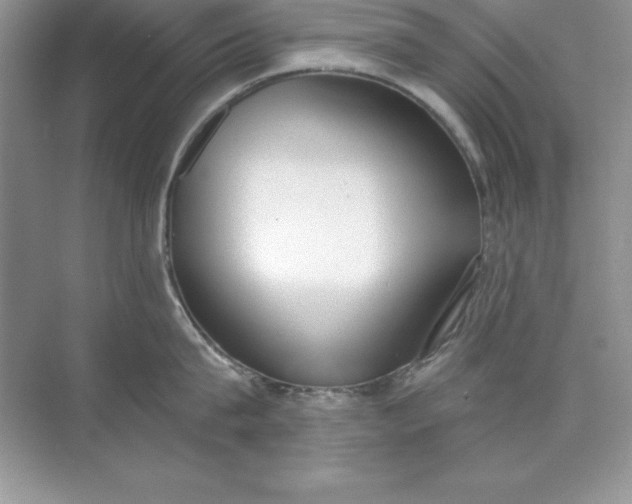 X0000071940815200607212159
